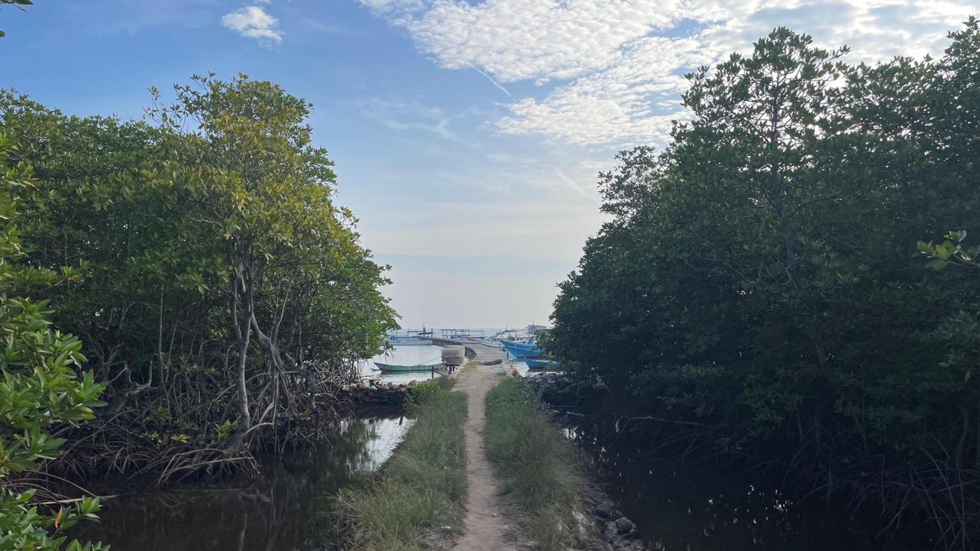 Mangrove Inn Karimunjawa Exterior foto