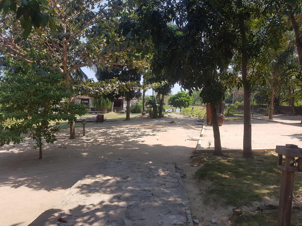 Mangrove Inn Karimunjawa Exterior foto